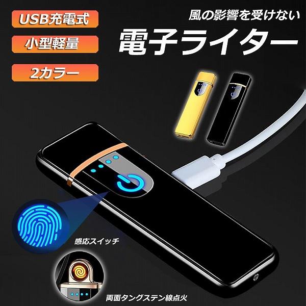 電子ライター usb ライター 電子ターボライター 小型 充電式ガス オイル不要 防風 軽量 薄型 キャンプ バーベキュー 登山 プレゼント たばこ おしゃれ 送料無料